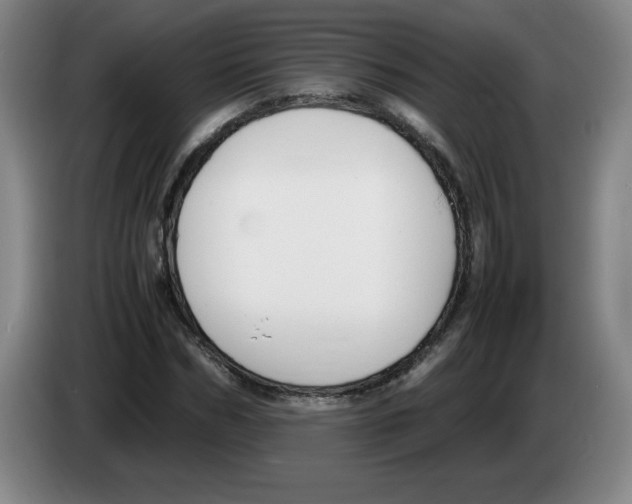 X0000083600970200703091738