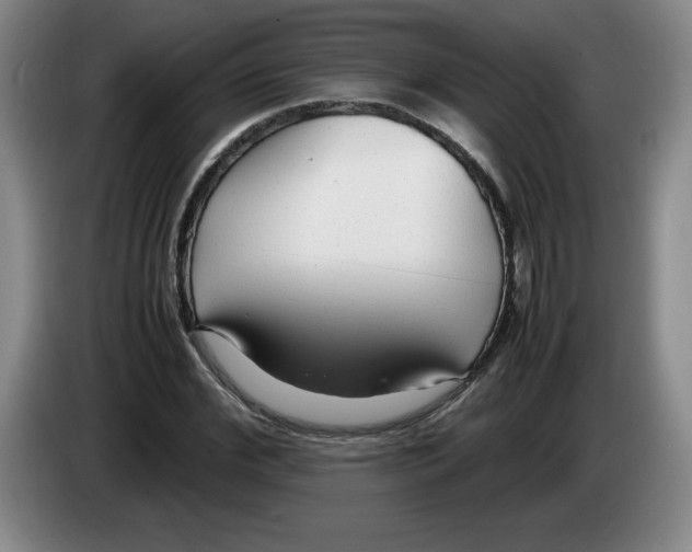 X0000083600972200703091738