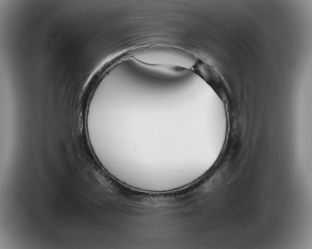 X0000083600973200703091738