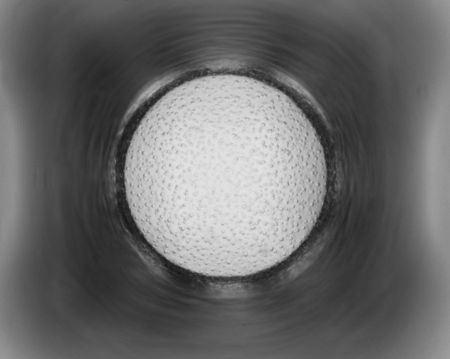 X0000083600978200703091737