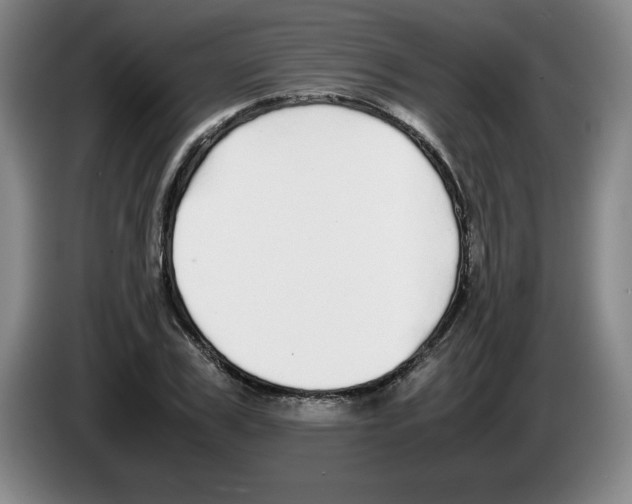 X0000083600979200703091737