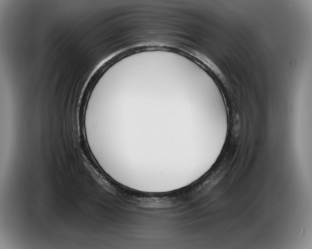 X0000083600980200703091737