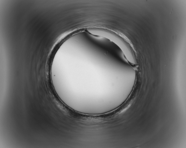 X0000083600981200703091737