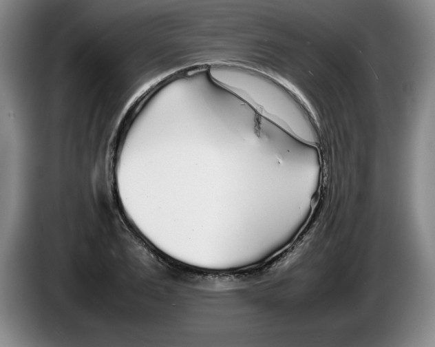 X0000083600983200703091737