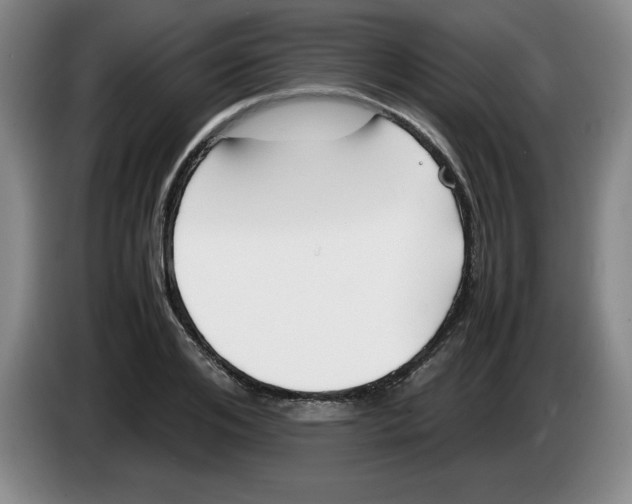 X0000083600984200703091737