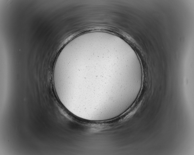 X0000083600985200703091737