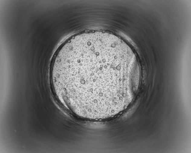 X0000083600986200703091737