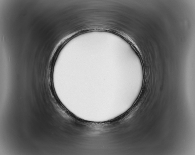 X0000083600987200703091737