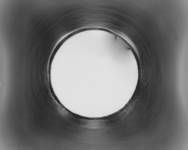 X0000083600988200703091737