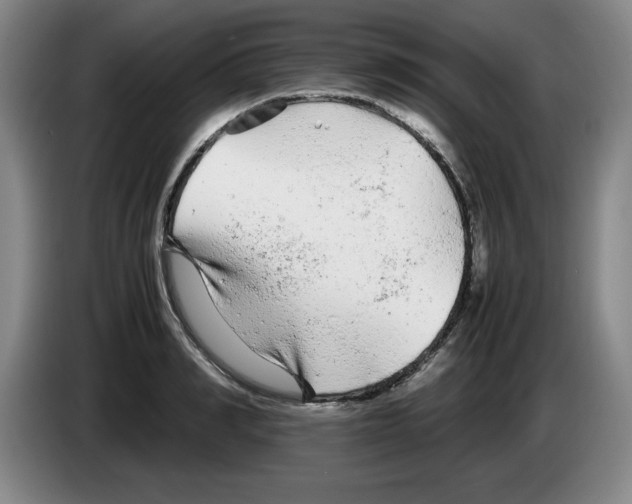 X0000083600990200703091737