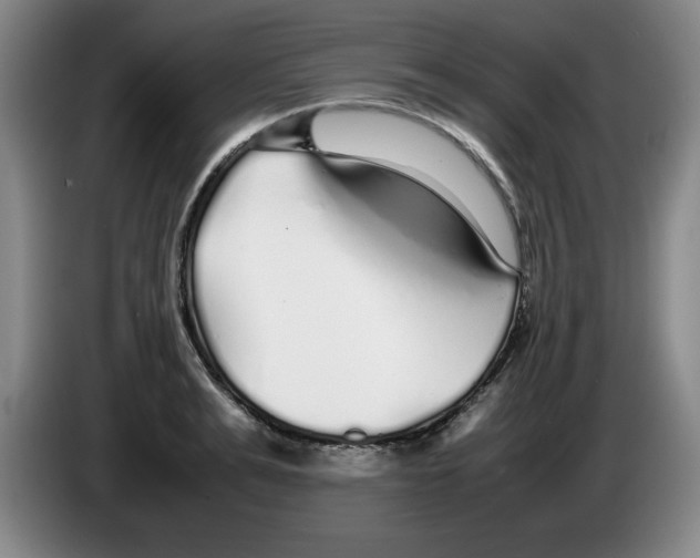 X0000083600991200703091737