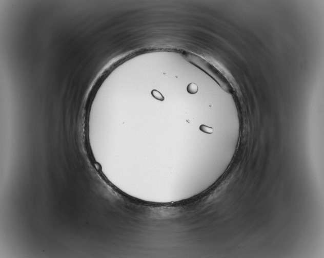 X0000083600992200703091737