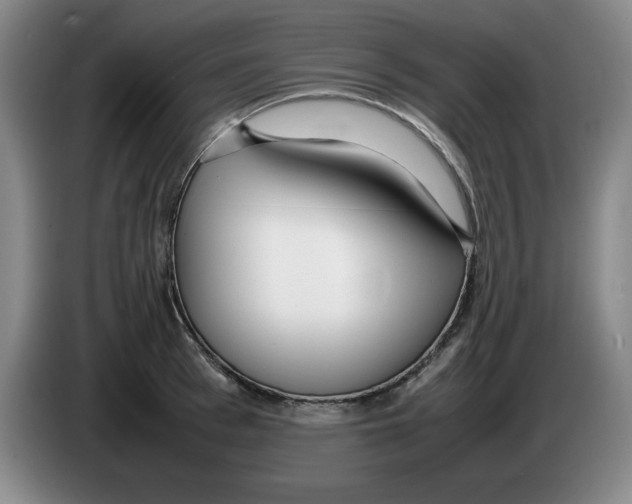 X0000083600993200703091737