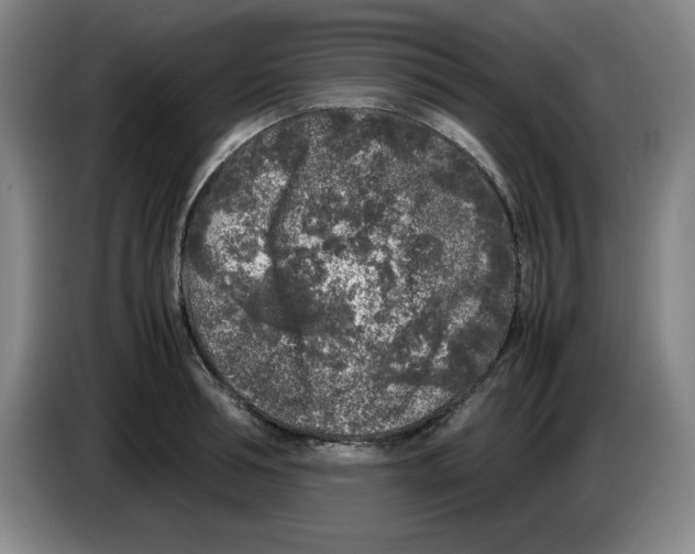 X0000083600994200703091737