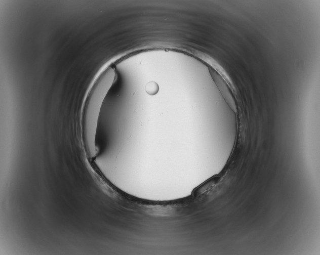 X0000083600996200703091737