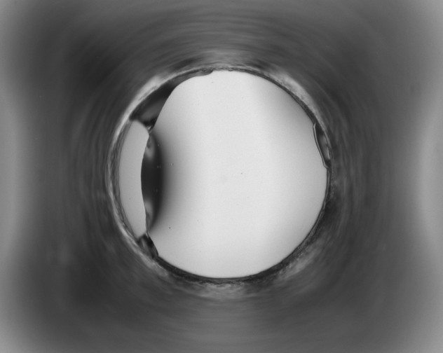 X0000083600997200703091737