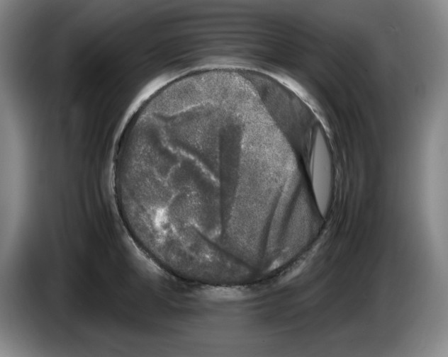 X0000083600998200703091737