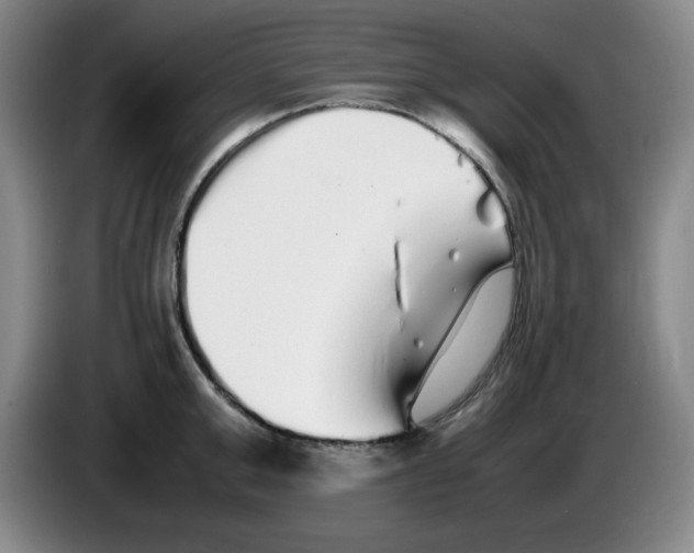 X0000083600999200703091737