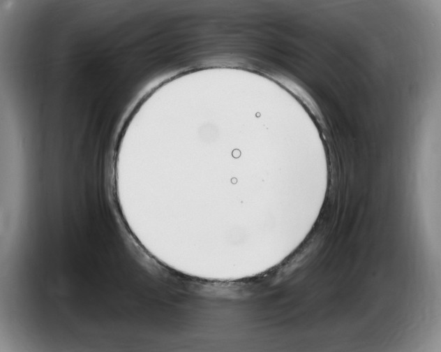 X0000083601000200703091737