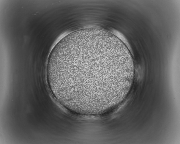 X0000083601002200703091737