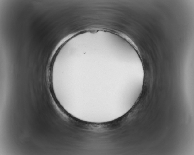 X0000083601003200703091737