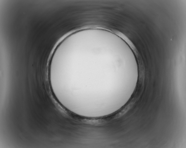 X0000083601004200703091737