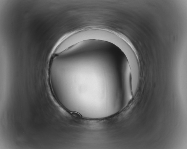 X0000083601005200703091737