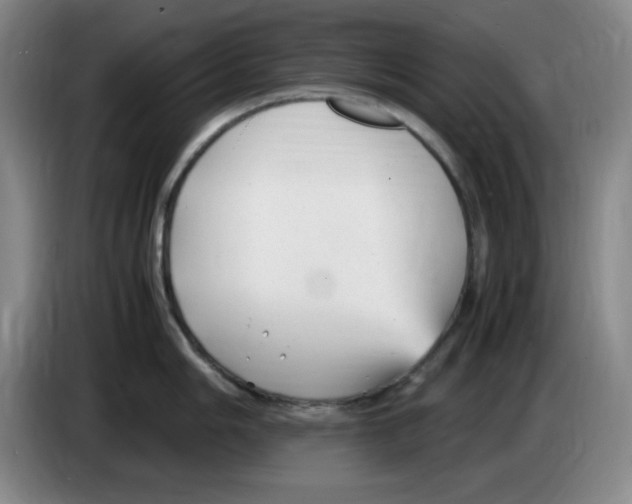 X0000083601006200703091737