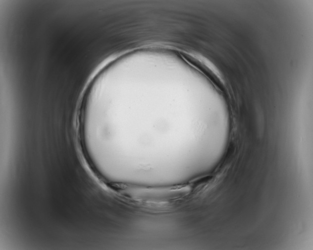 X0000083601007200703091737