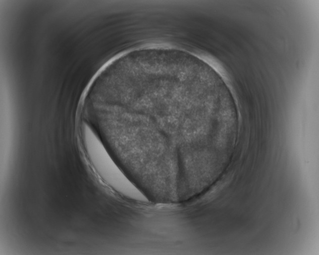 X0000083601008200703091737