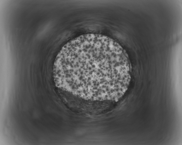 X0000083601009200703091736