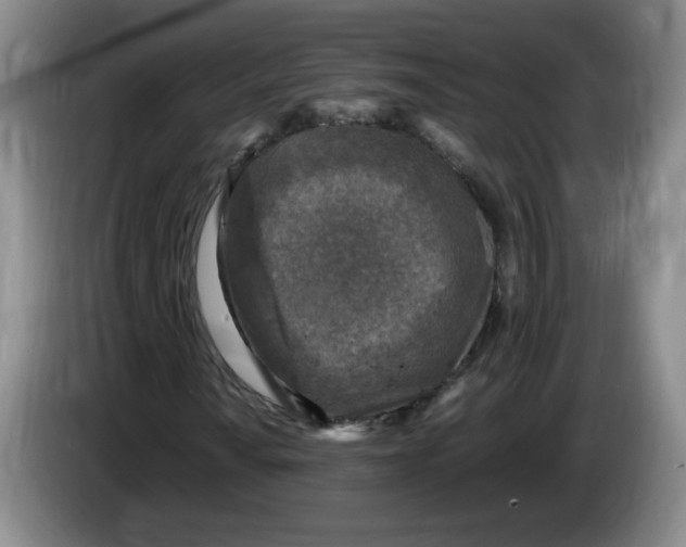 X0000083601010200703091736