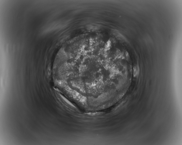 X0000083601011200703091736