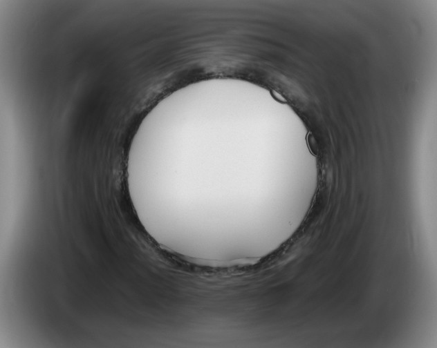 X0000083601012200703091736