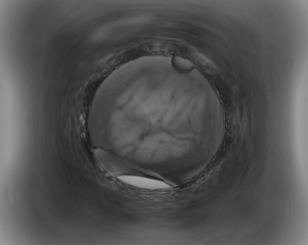 X0000083601013200703091736