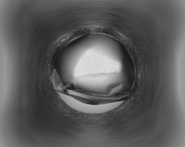 X0000083601014200703091736