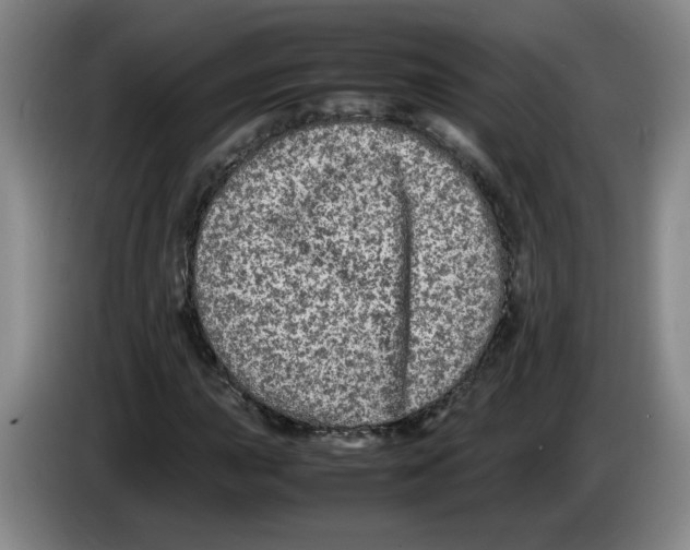 X0000083601015200703091736