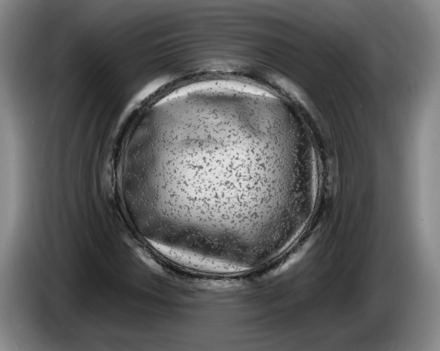 X0000083601018200703091737