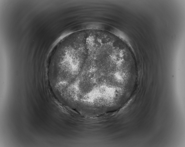 X0000083601019200703091737