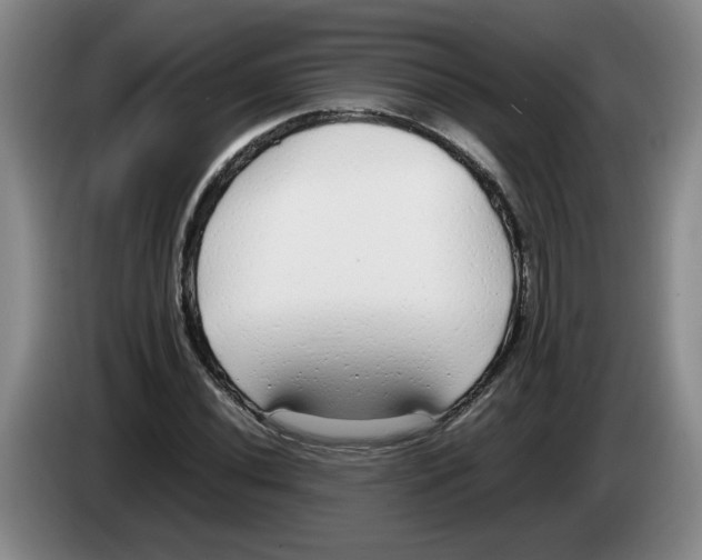 X0000083601020200703091737