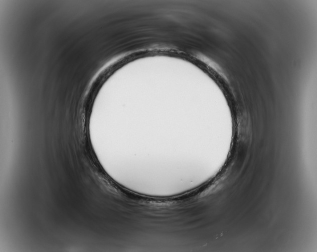 X0000083601021200703091737