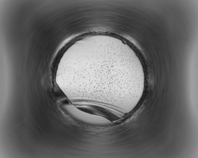 X0000083601022200703091737