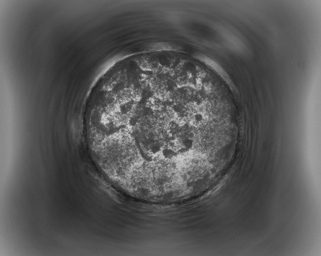 X0000083601023200703091737