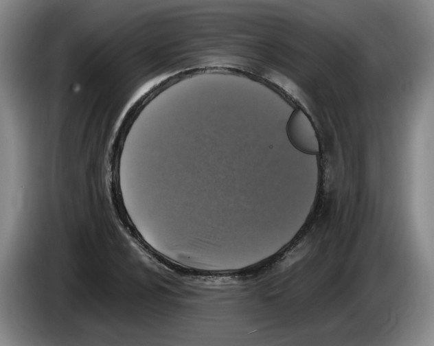 X0000083601024200703091737