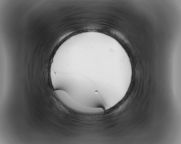 X0000083601025200703091737