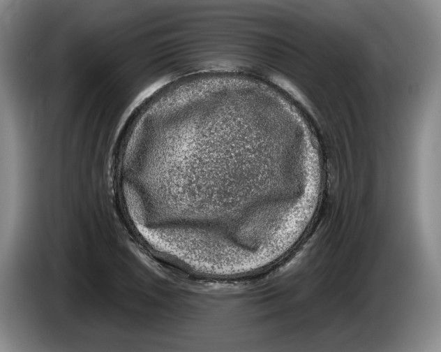 X0000083601026200703091737