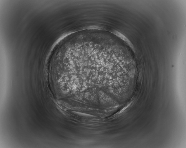 X0000083601027200703091737