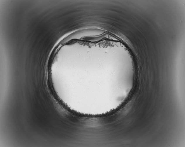 X0000083601028200703091737