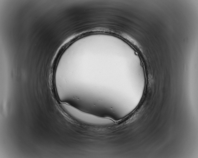 X0000083601029200703091737