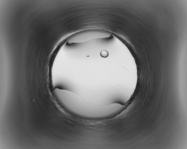 X0000083601030200703091737